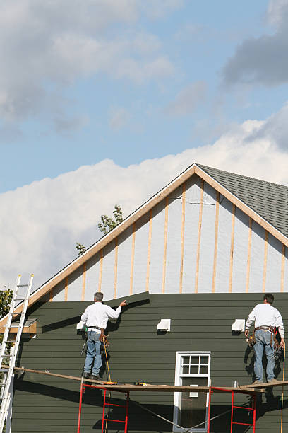 Best Vinyl Siding Installation  in Island Heights, NJ